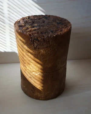 Mycelium Stool No.2 - Small