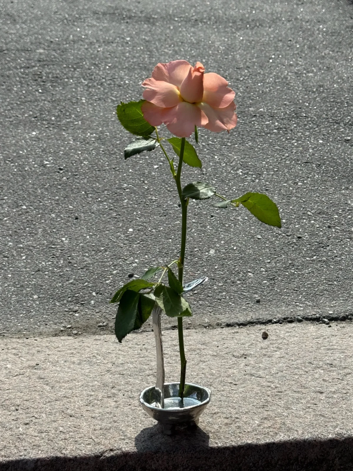 Favorite Vase — 6