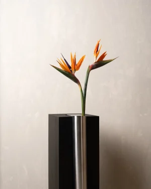 Bookcase Vase