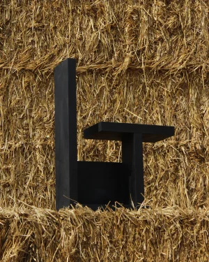 Mutation Chair - Maple