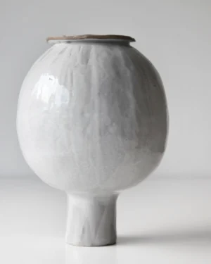 Floral Study Iii: White Rosehip - Vase