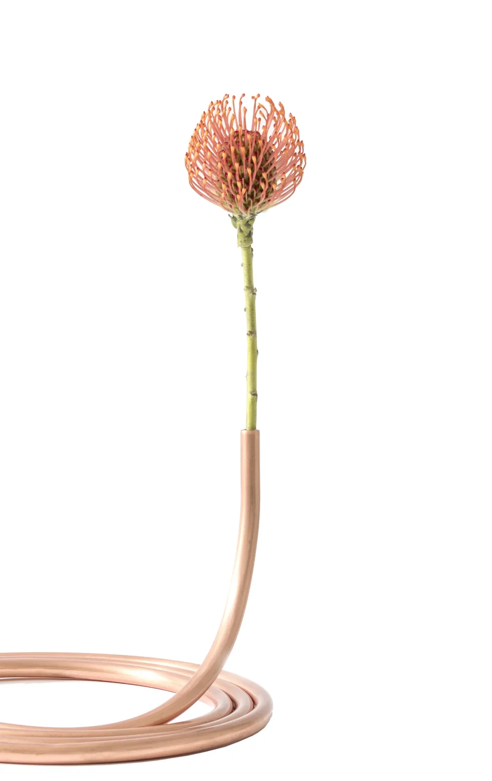 Shibui Vase — 3