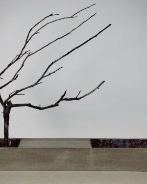 Axis - Sculptural Centrepiece Object