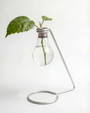 Testikel - Glass Cuttings Vase