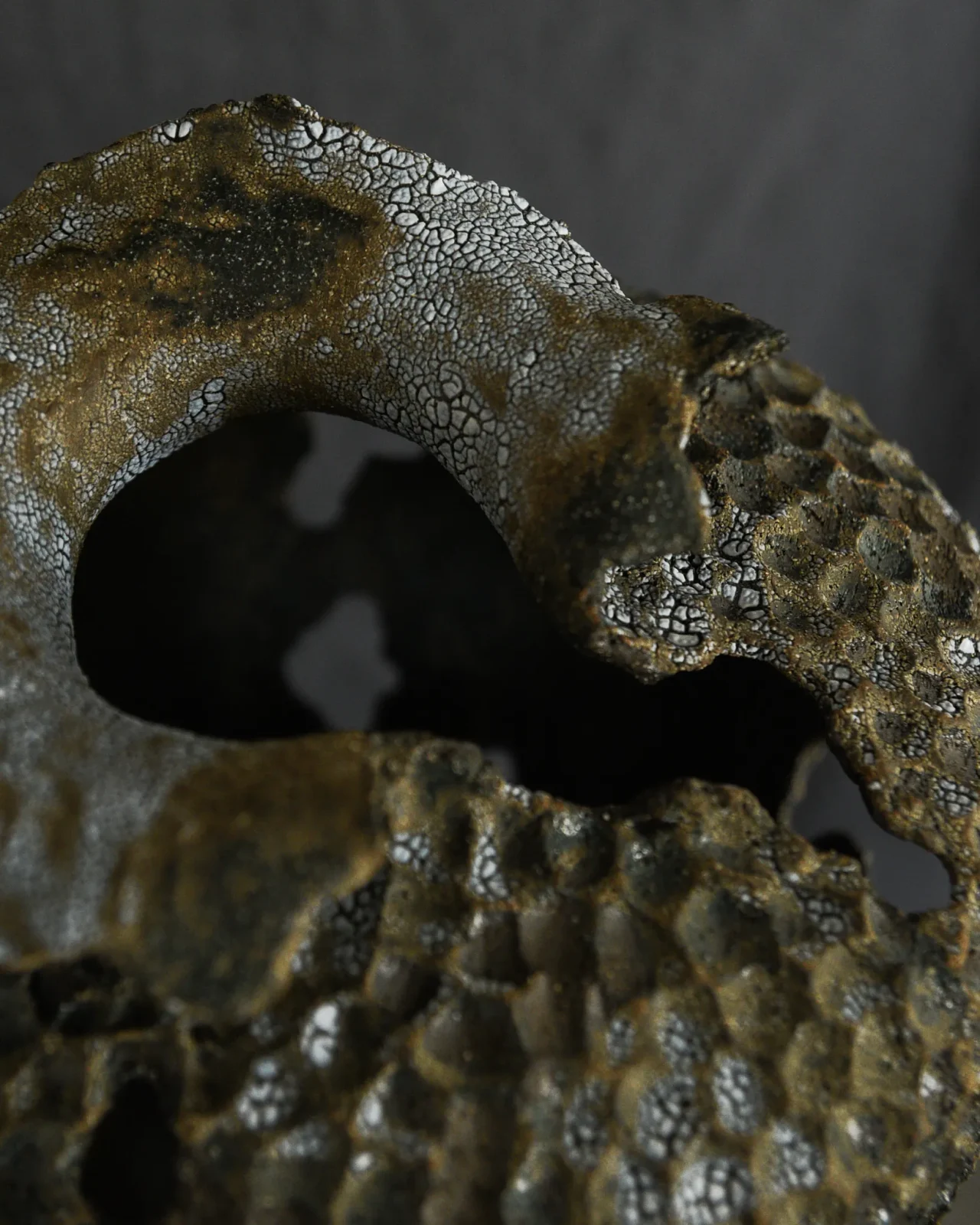Organic Form No.5 - Sculpture — 4