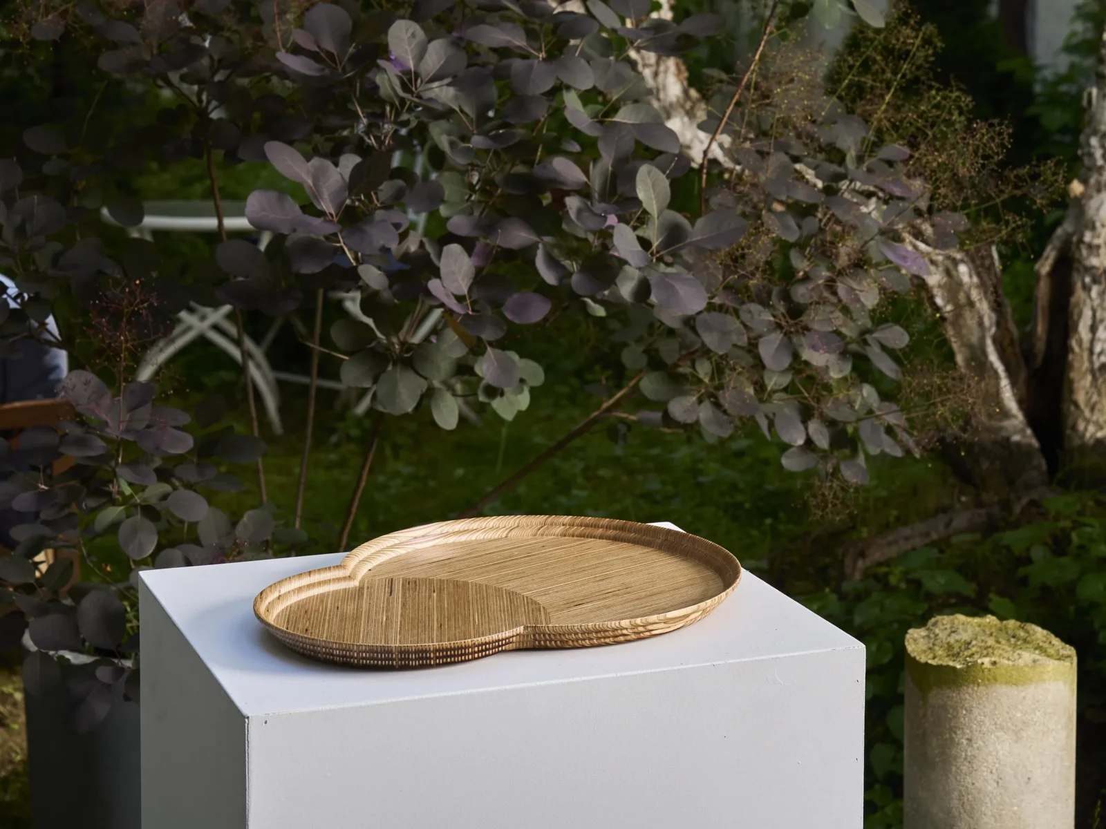 Otto Tray In Layered Birch Wood — 2