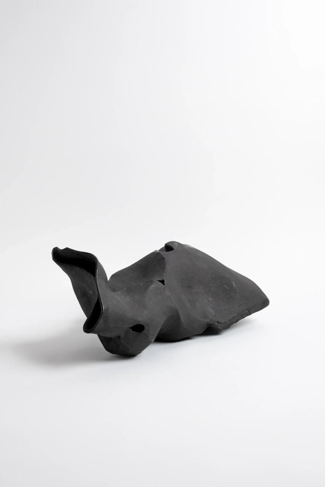 Black On Black Sculpture — 4