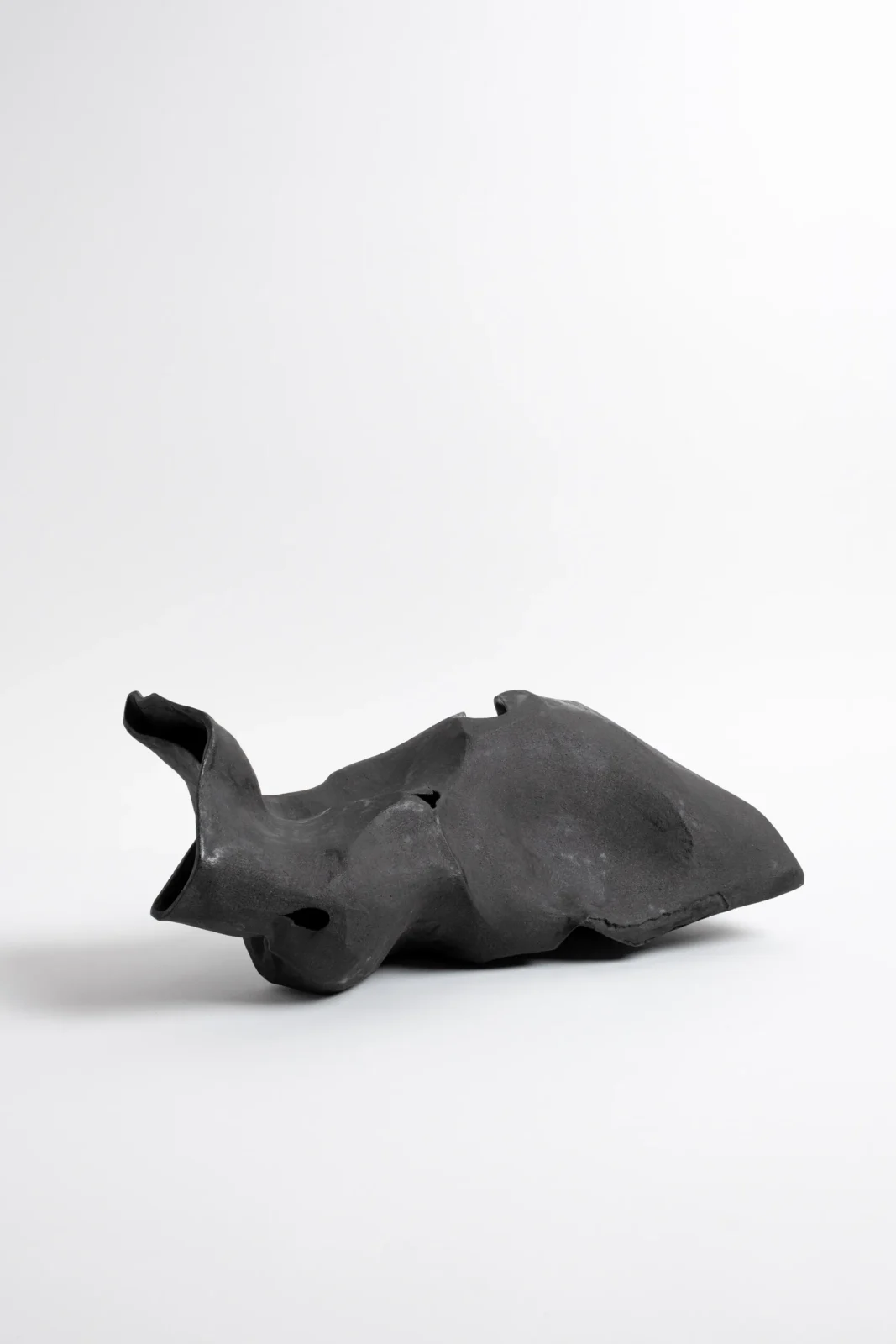 Black On Black Sculpture — 2