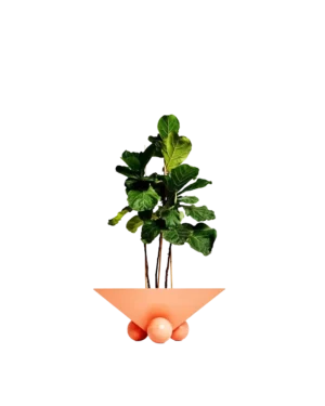 Planters