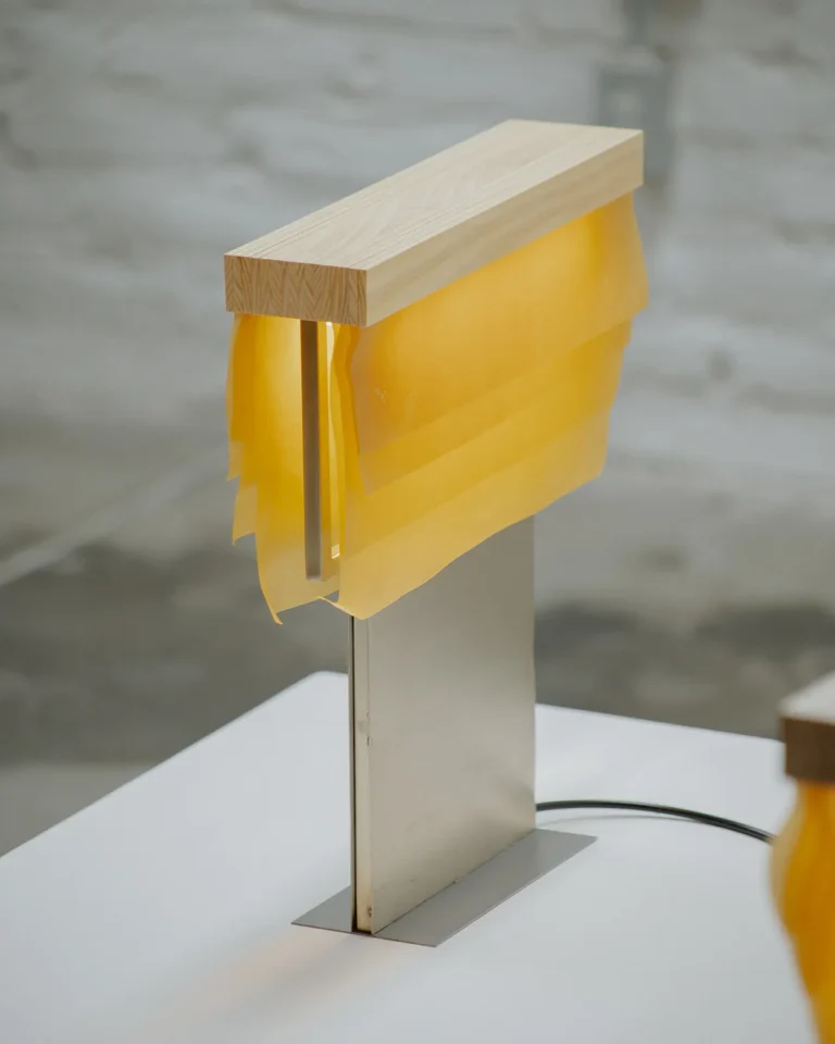 Cenit Table Lamp in Ash Wood and Celium — 8