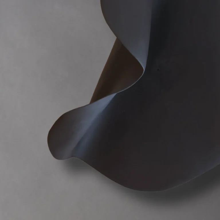 Abundance Wall Sculpture | Black · Studio Series · — 4