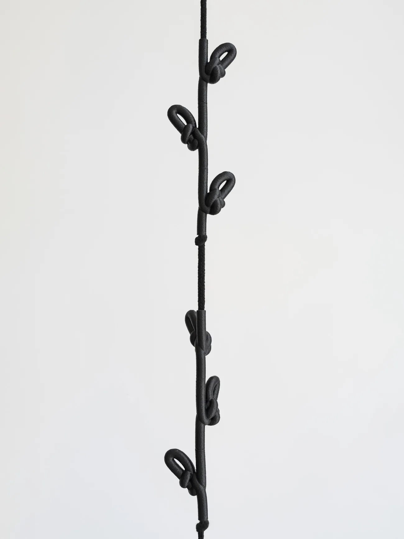 Knotted Coat Rack in black cord hanging from the ceiling, with modular knots that serve as hooks, by Everyday Objekts