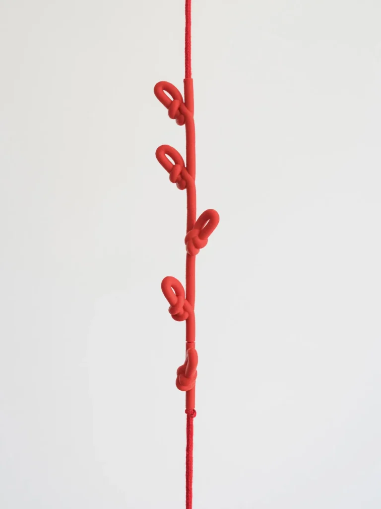 Knotted Coat Rack - Colour Pop — 14