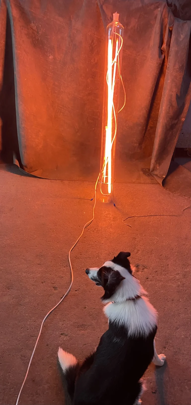 Äther Wall Lamp In Borosilicate Glass — 5