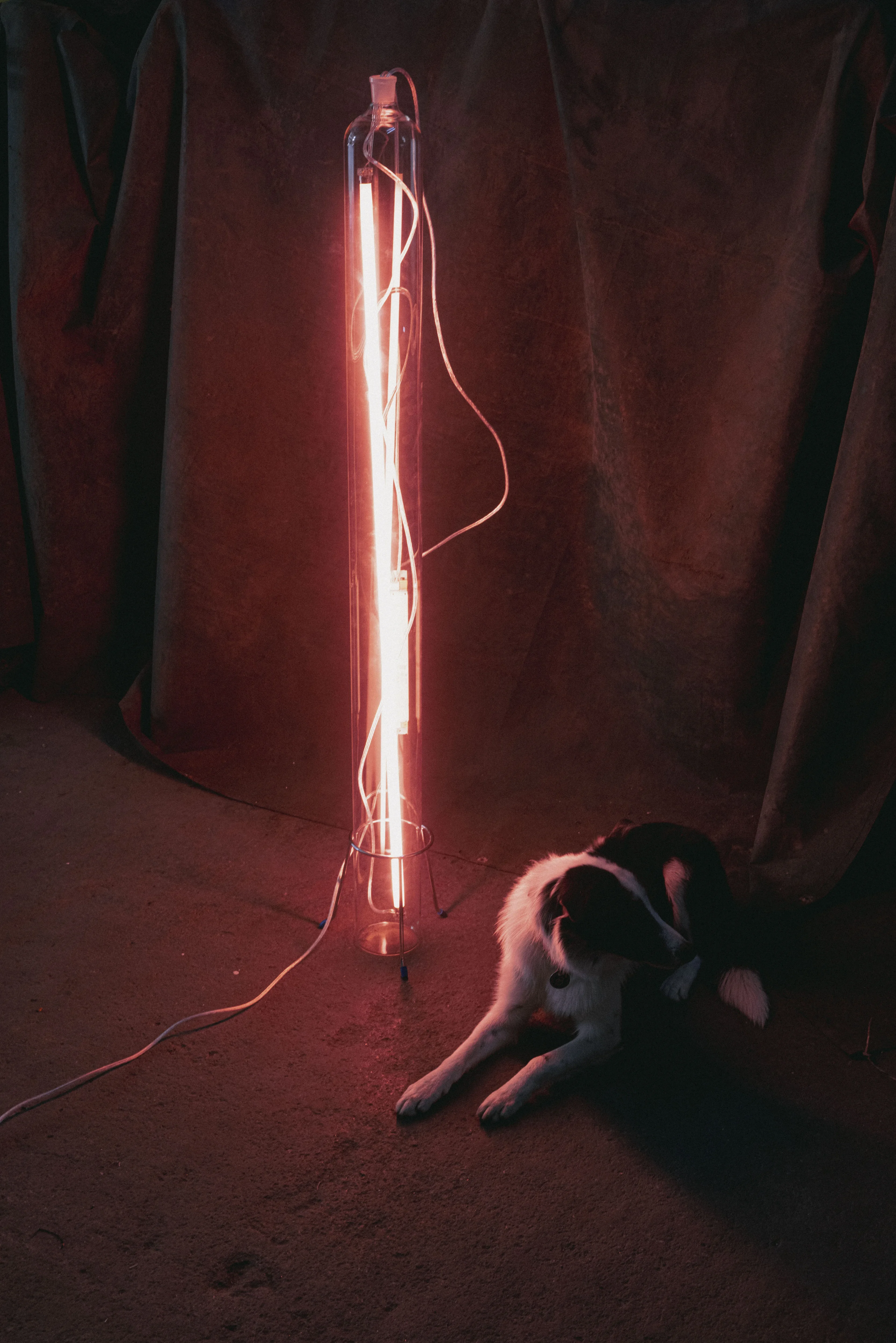 Äther lamp, a fluorescent tube glowing red inside a tall borosilicate glass jar, by TUNK
