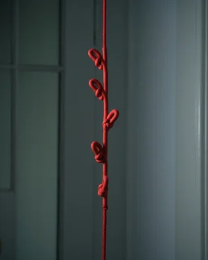 Knotted Coat Rack - Colour Pop