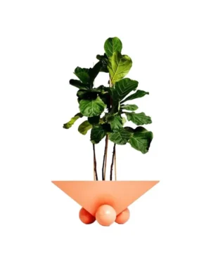 Planters
