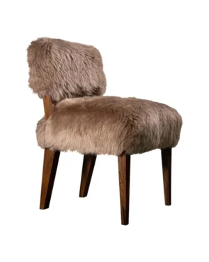 Textile Dining Chairs