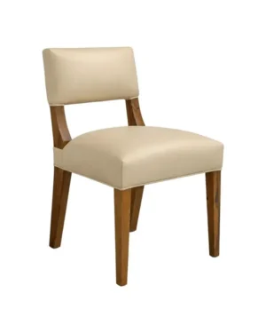 Minimalist Dining Chairs