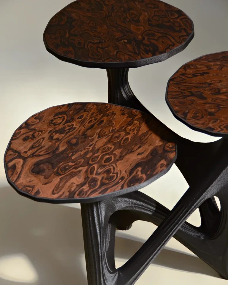 Dendria Side Table In Biopolymer And Walnut Root Veneer — 3