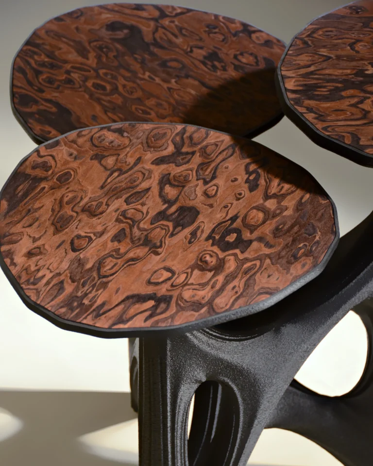 Dendria Side Table In Biopolymer And Walnut Root Veneer — 4