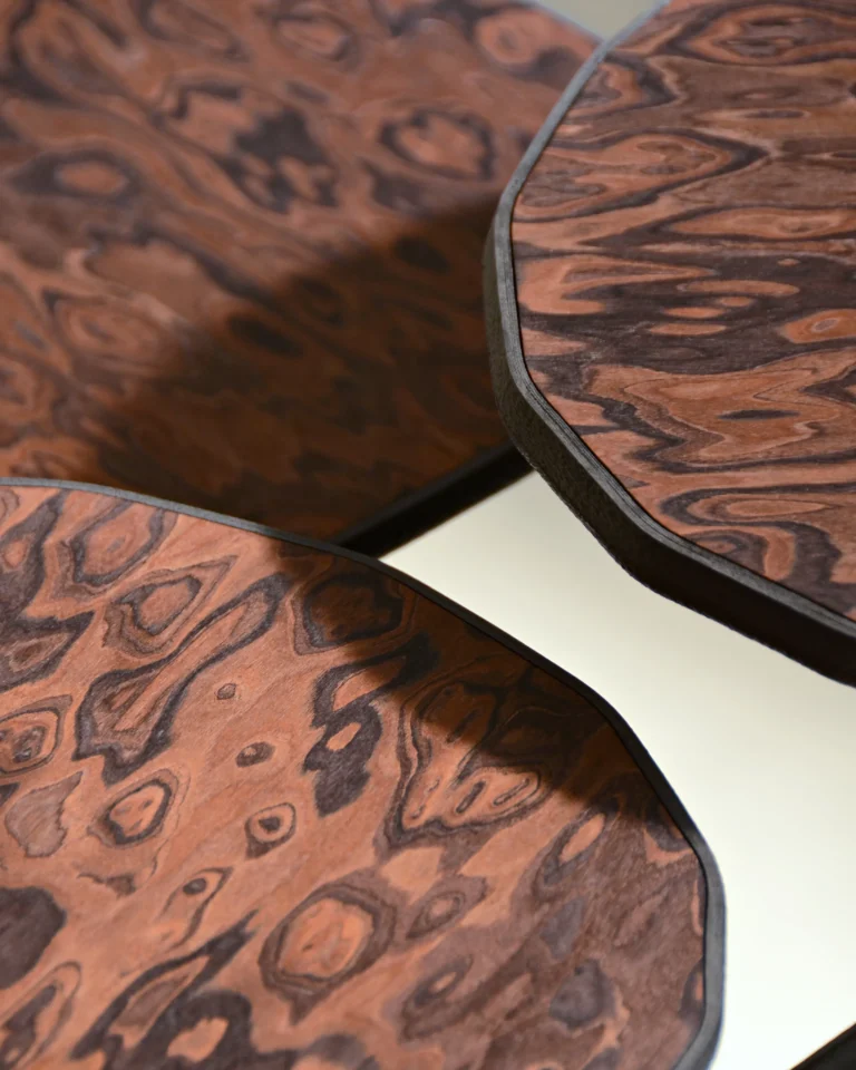 Dendria Side Table In Biopolymer And Walnut Root Veneer — 5
