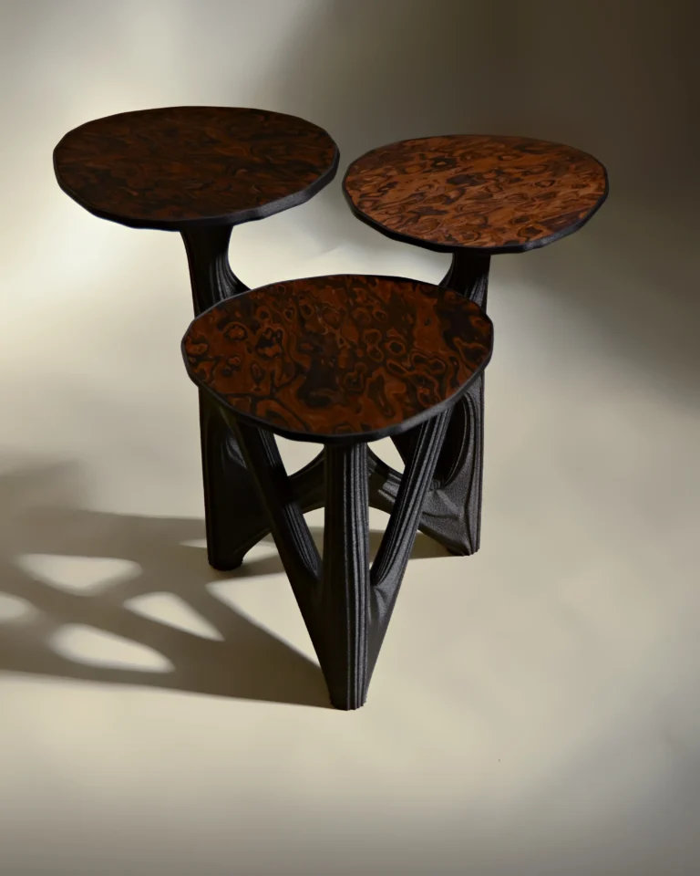 Dendria Side Table In Biopolymer And Walnut Root Veneer — 9