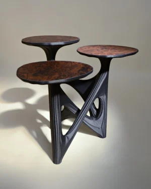 Dendria Side Table In Biopolymer And Walnut Root Veneer