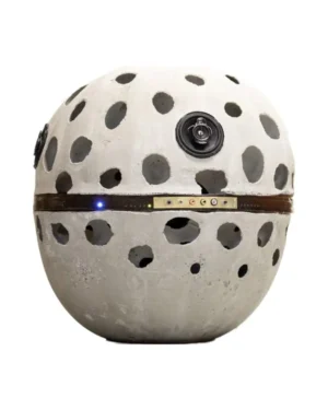 Eclectic Speakers