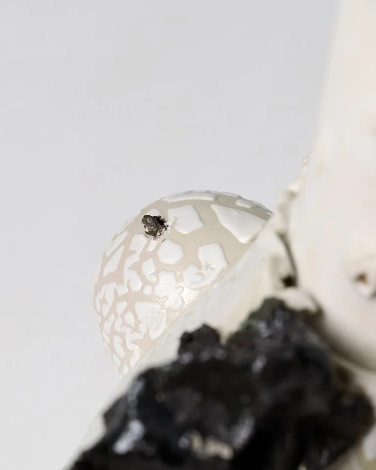 Close-up of the New_love_01 vase's domed knob with a small dark speck, set in white crackle glaze