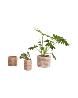 Ceramic Accessories