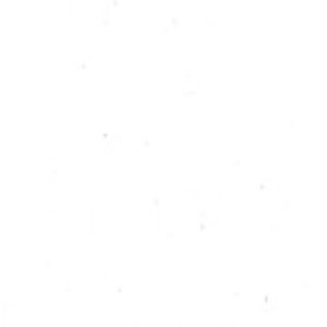 Profile photo of Georgiev Kiril